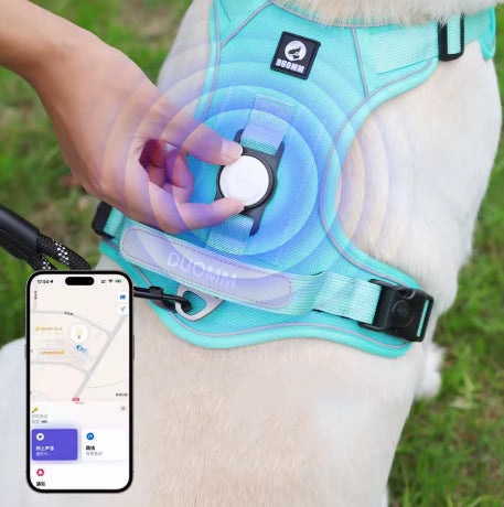 Harnais Anti-Traction – Contrôle, confort et sécurité en promenade